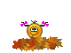 :list_va: